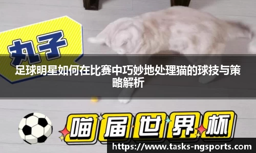 足球明星如何在比赛中巧妙地处理猫的球技与策略解析